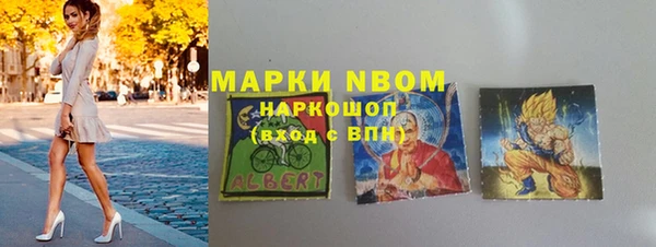 гашик Верея