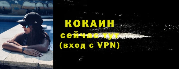 гашик Верея