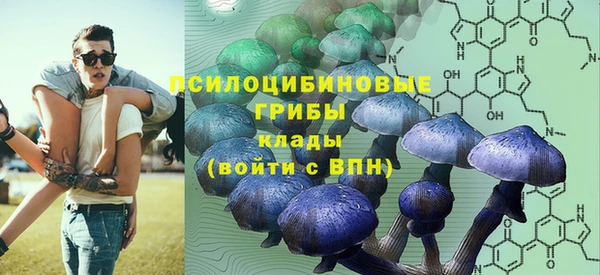 шишки Волосово