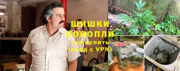 гашик Верея
