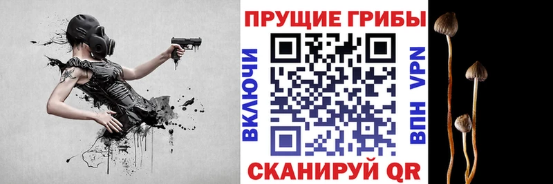 Псилоцибиновые грибы Magic Shrooms  Калязин 